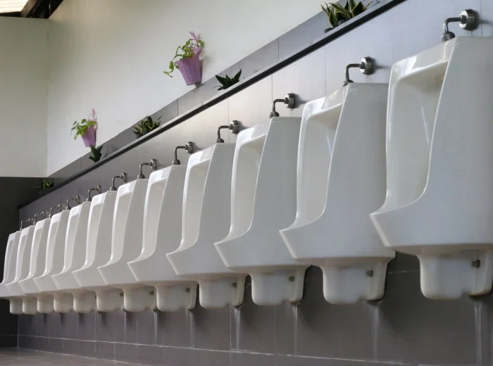 A line of 12 white urinals.